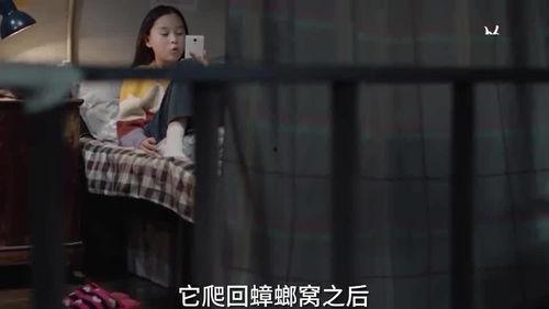 学姐的爆料全集观看视频,揭秘校园风云背后的真相  第2张