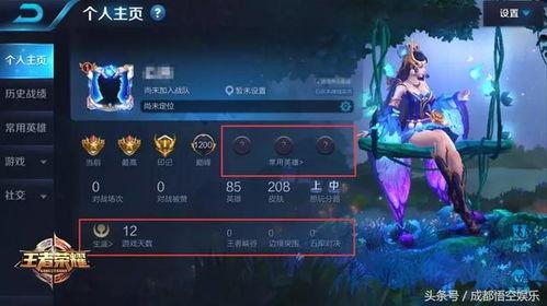 王者新典藏爆料最新版,神秘英雄登场，全新皮肤盛宴即将开启！  第3张