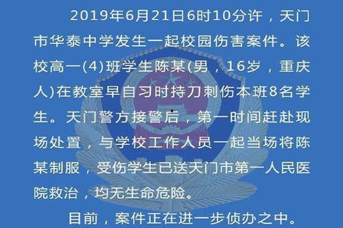 最新案件爆料新闻内容有哪些,揭秘惊心动魄的案情转折与幕后真相  第1张